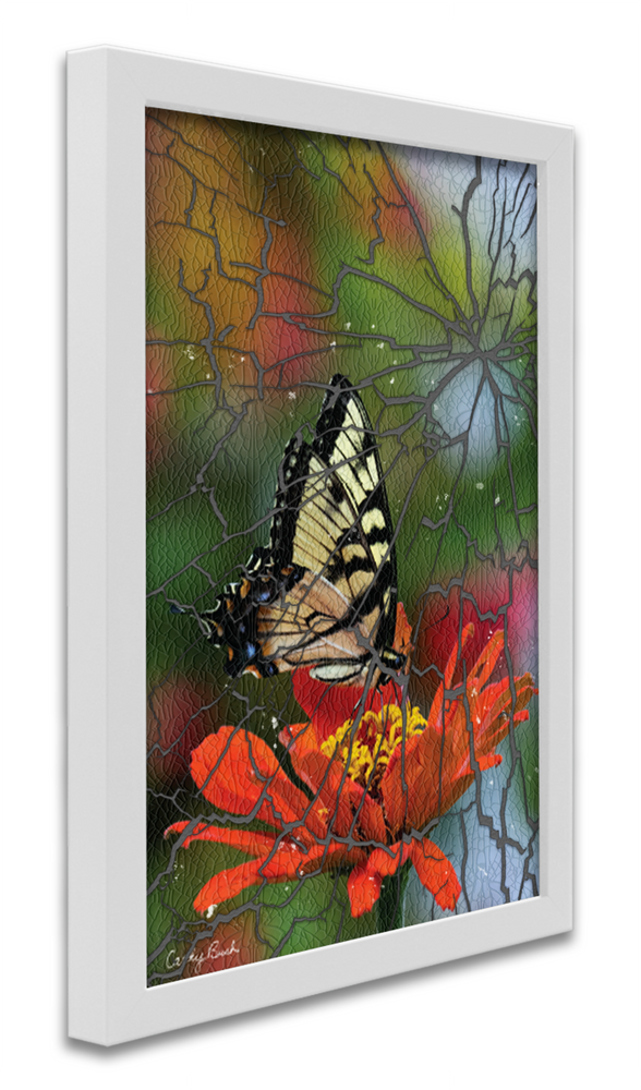 
                  
                    Zinnia Butterfly
                  
                