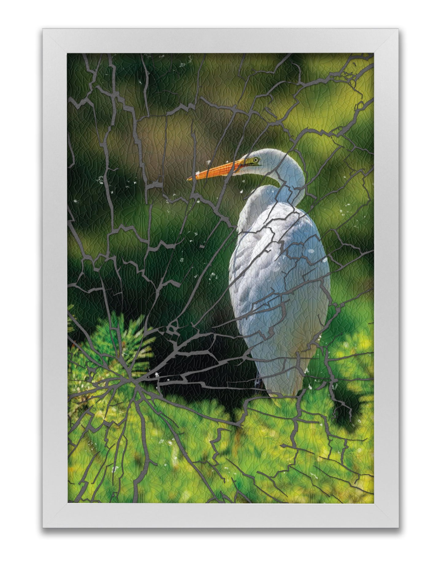 
                  
                    Great White Egret
                  
                