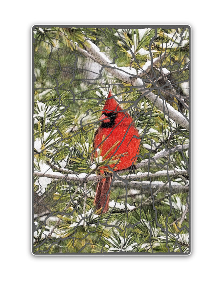 
                  
                    Cardinal on Green Pine Branch
                  
                