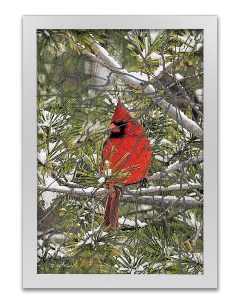 
                  
                    Cardinal on Green Pine Branch
                  
                