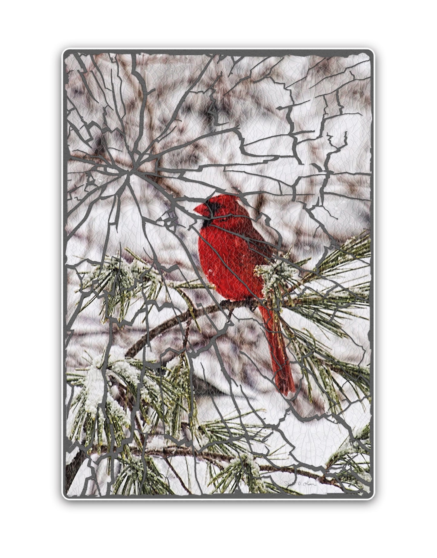 
                  
                    Profile of Cardinal on Pine Branch
                  
                