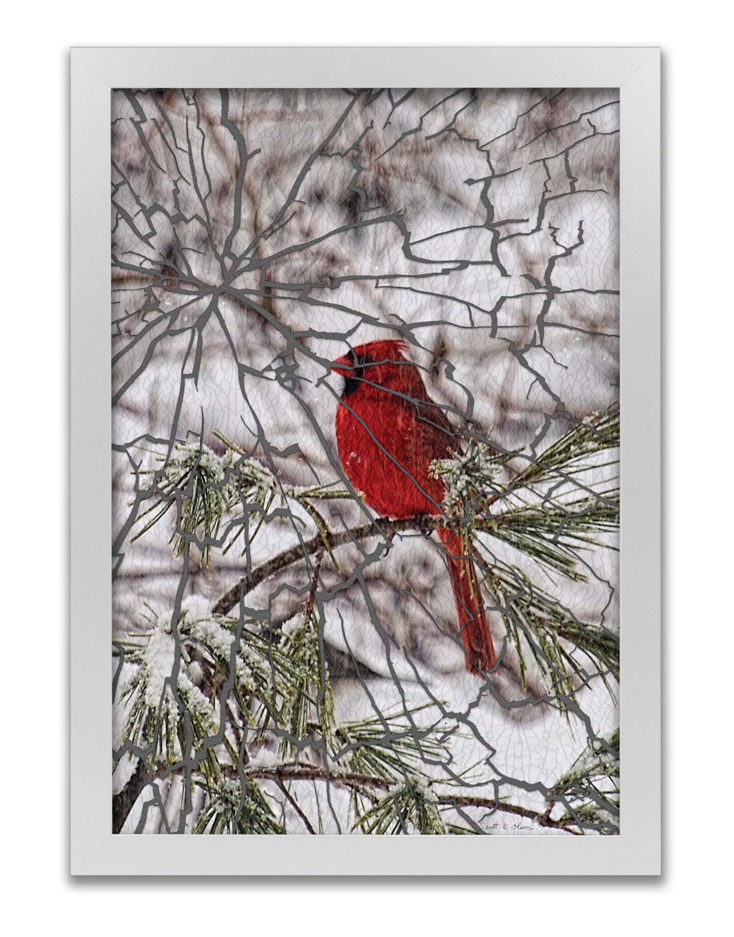 
                  
                    Profile of Cardinal on Pine Branch
                  
                