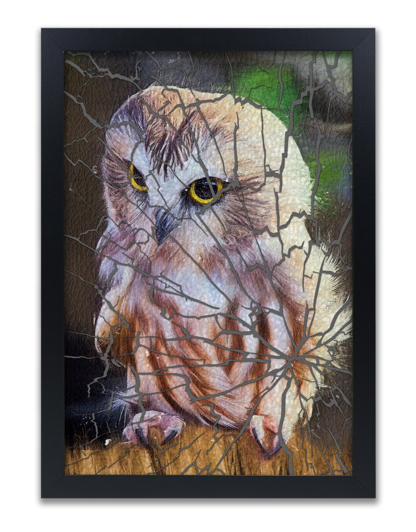 
                  
                    Saw-whet Owl
                  
                